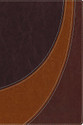 Case for Christ Study Bible-NIV Investigating the Evidence for Belief