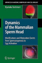 Dynamics of the Mammalian Sperm Head Modifications and Maturation Events from Spermatogenesis to Egg Activation