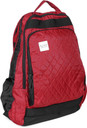 wildcraft school backpack toss