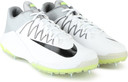 nike lunar cricket shoes