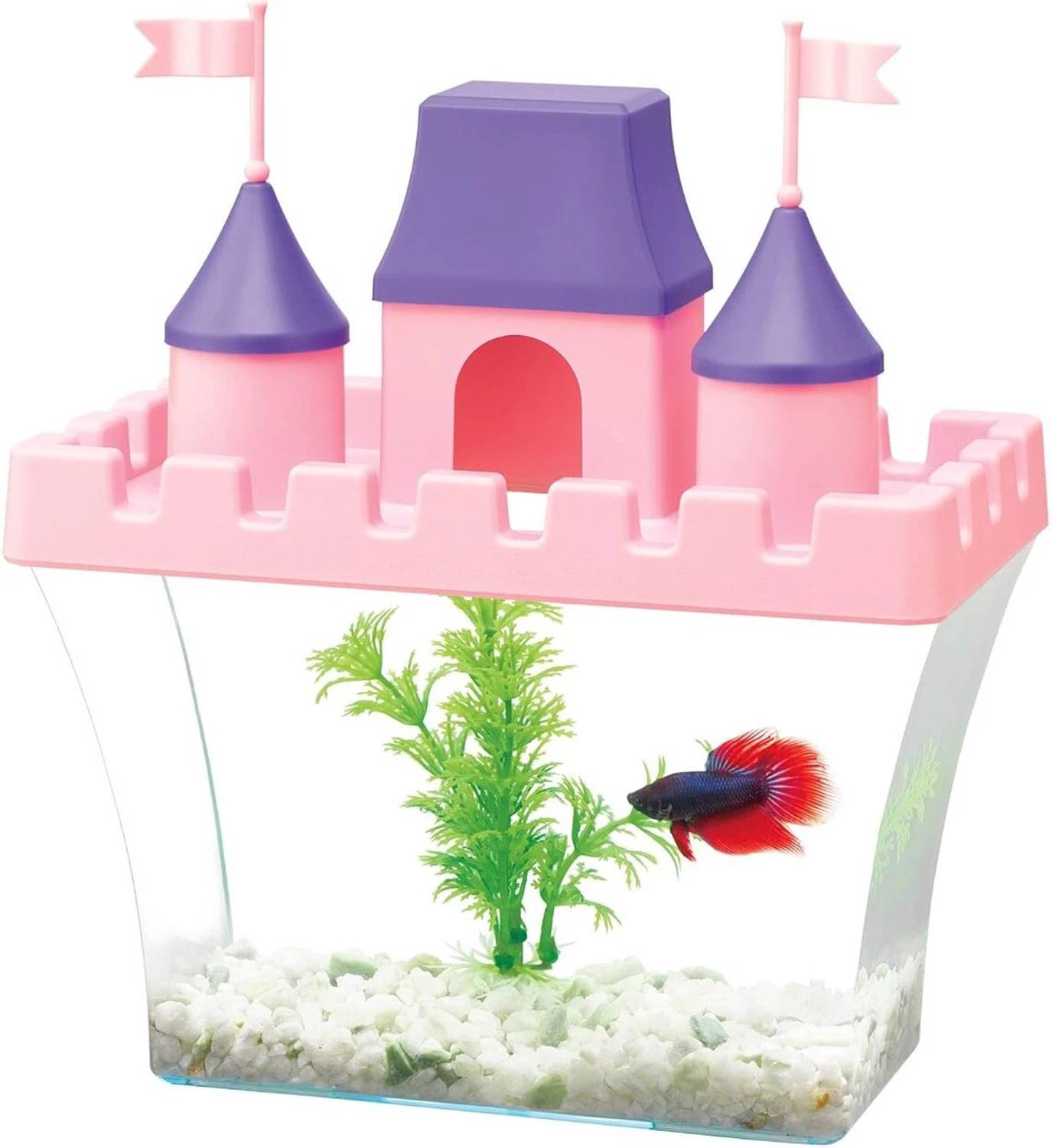 Blue Marlin Queens Castle Rectangle Aquarium - Image 1