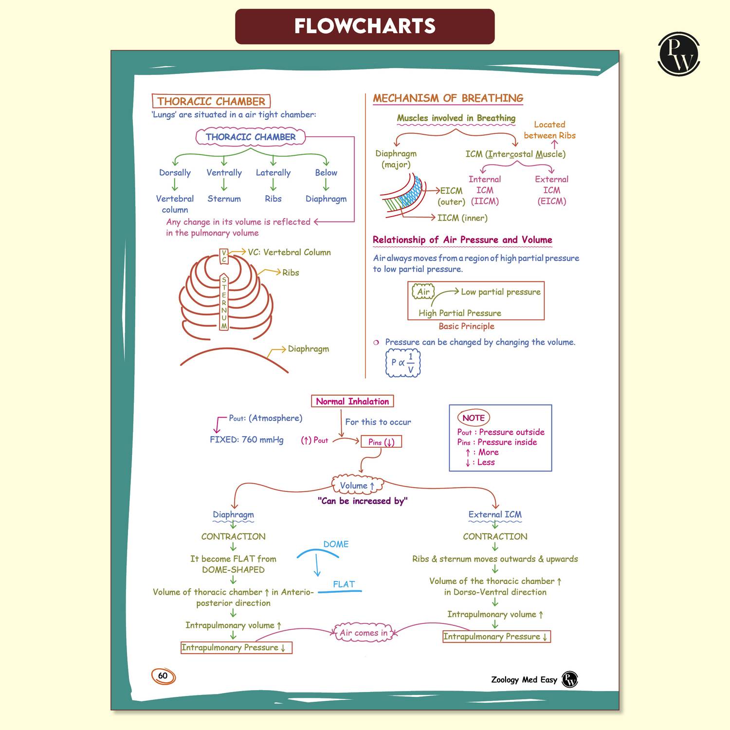 Physics Wallah Private Limited Pw Zoology Med Easy 2.0 for NEET and - Image 5
