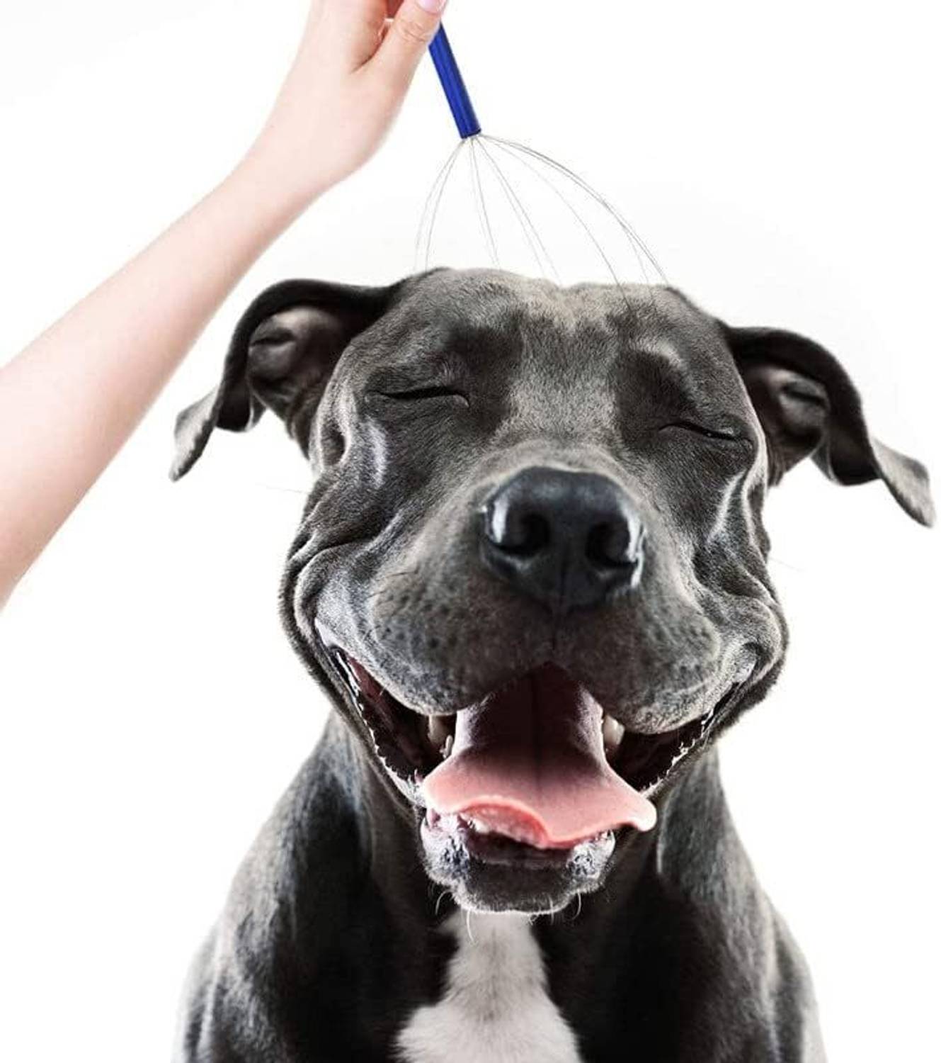 CORRUPTAK Head and Scalp Massager - Image 5