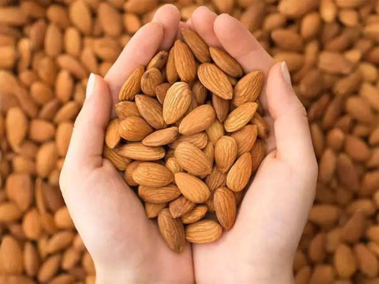 Granic Farms Premium California Almonds - Image 3
