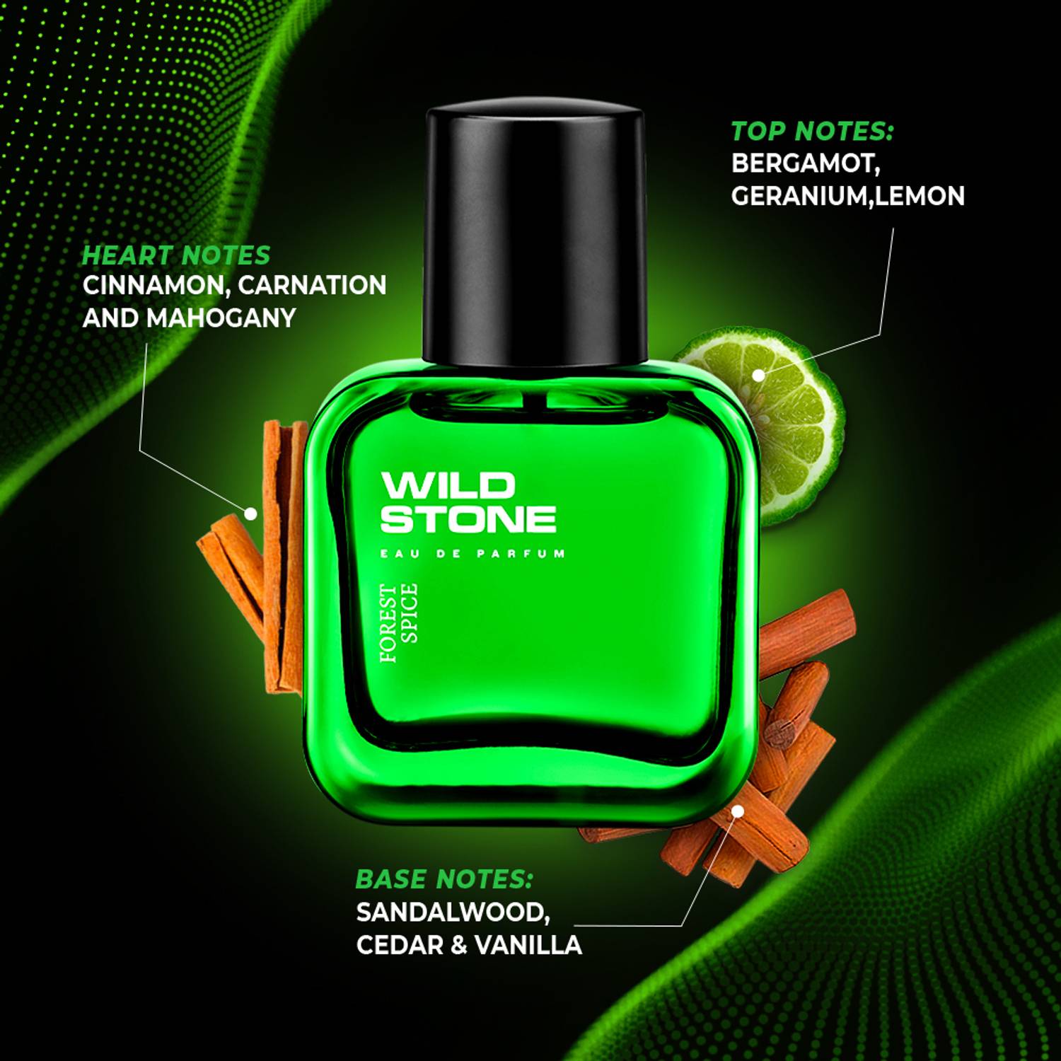 Wild Stone Forest Spice Perfume for Men 30 ml - Image 2