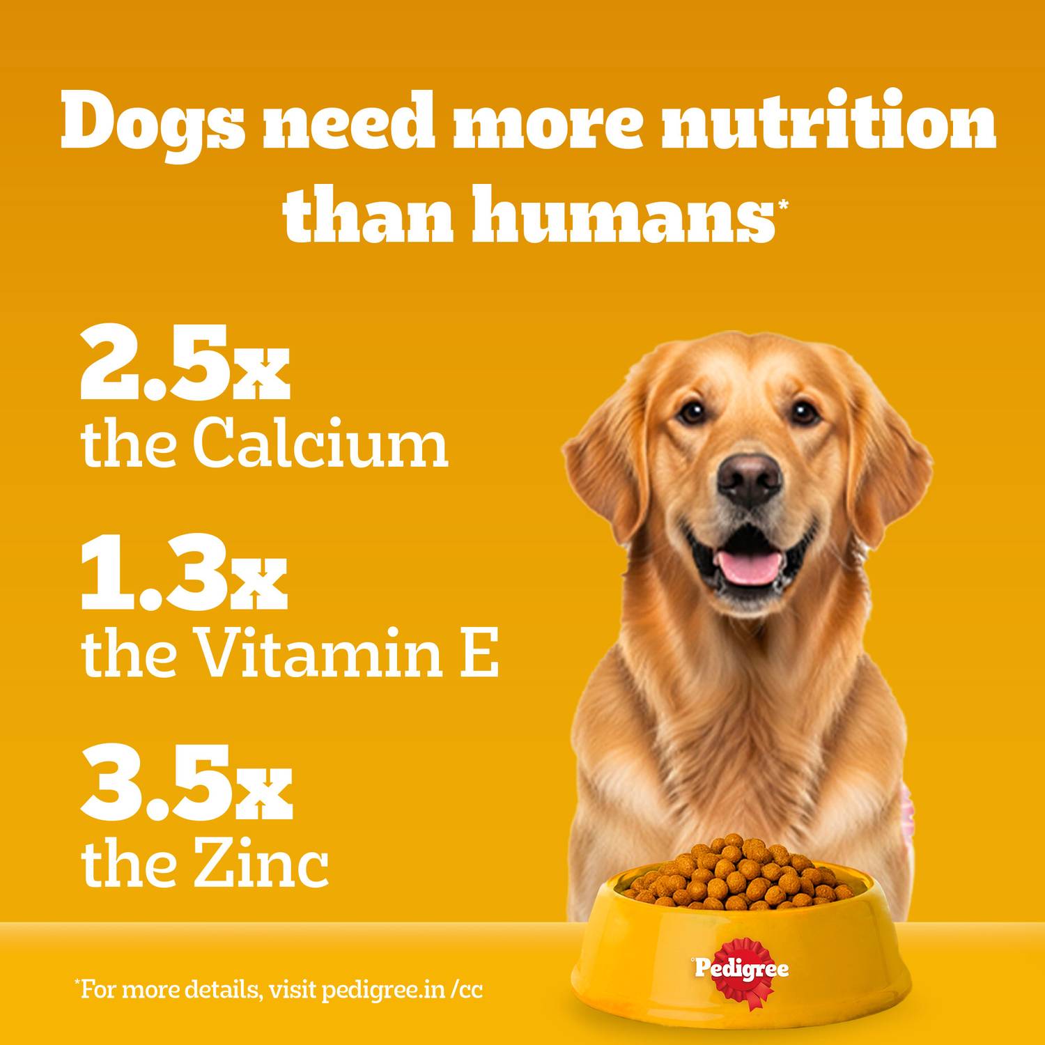 PEDIGREE 100% Nutrition Chicken, Vegetable 5.5 kg Dry Dog Food - Image 5