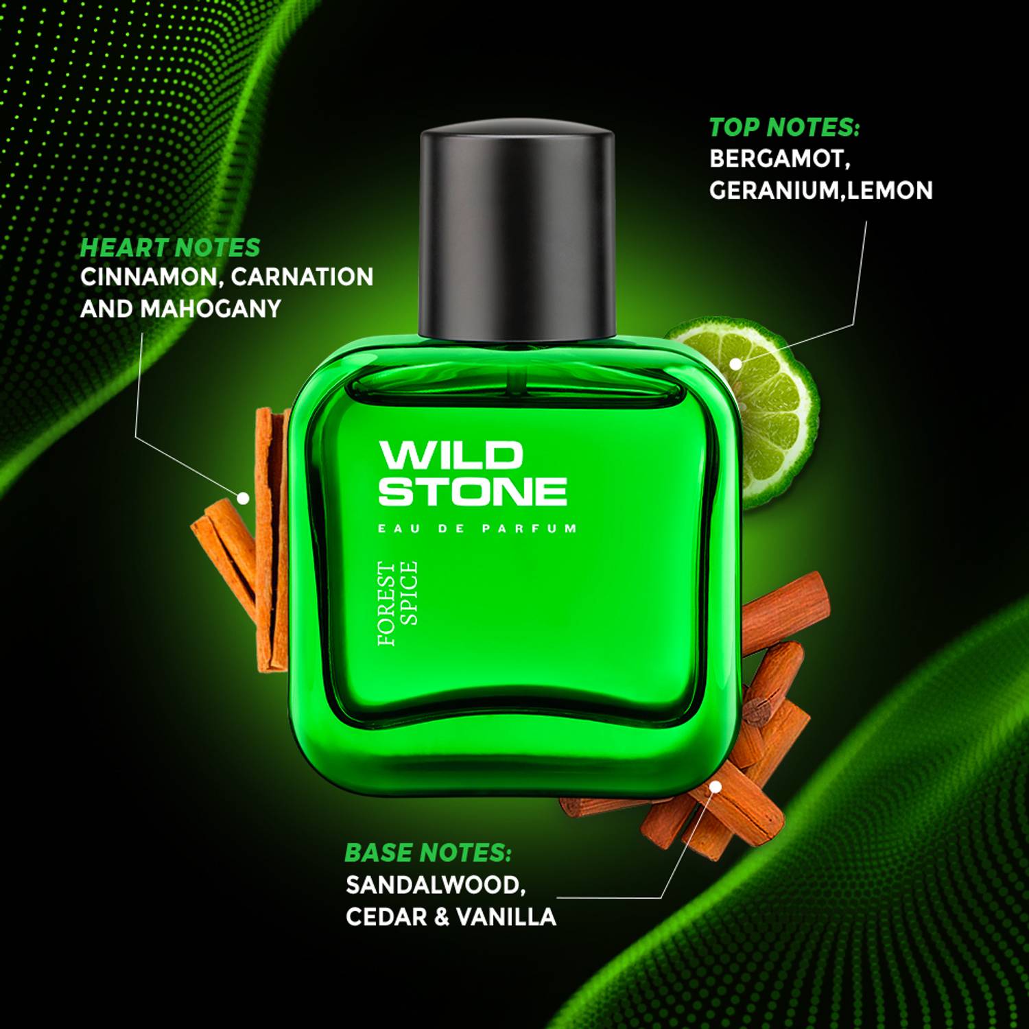 Wild Stone Forest Spice Perfume for Men 50 ml - Image 2