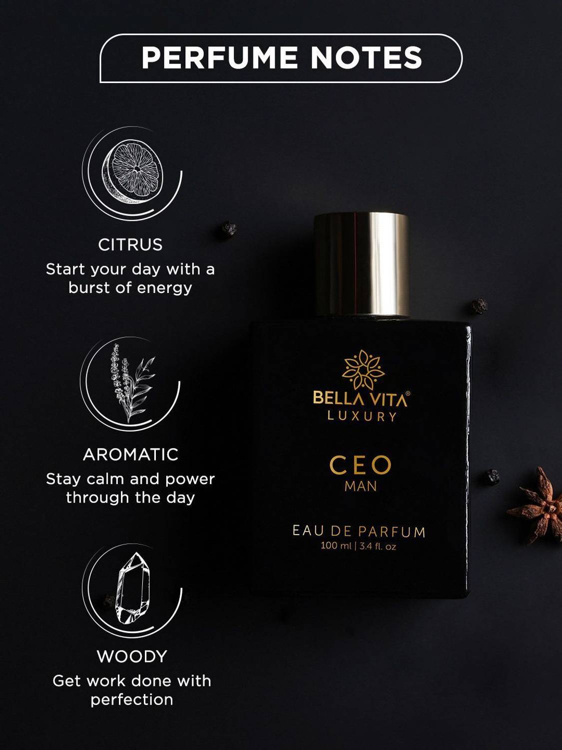 BELLAVITA CEO MAN Perfume 100 ml - Image 2