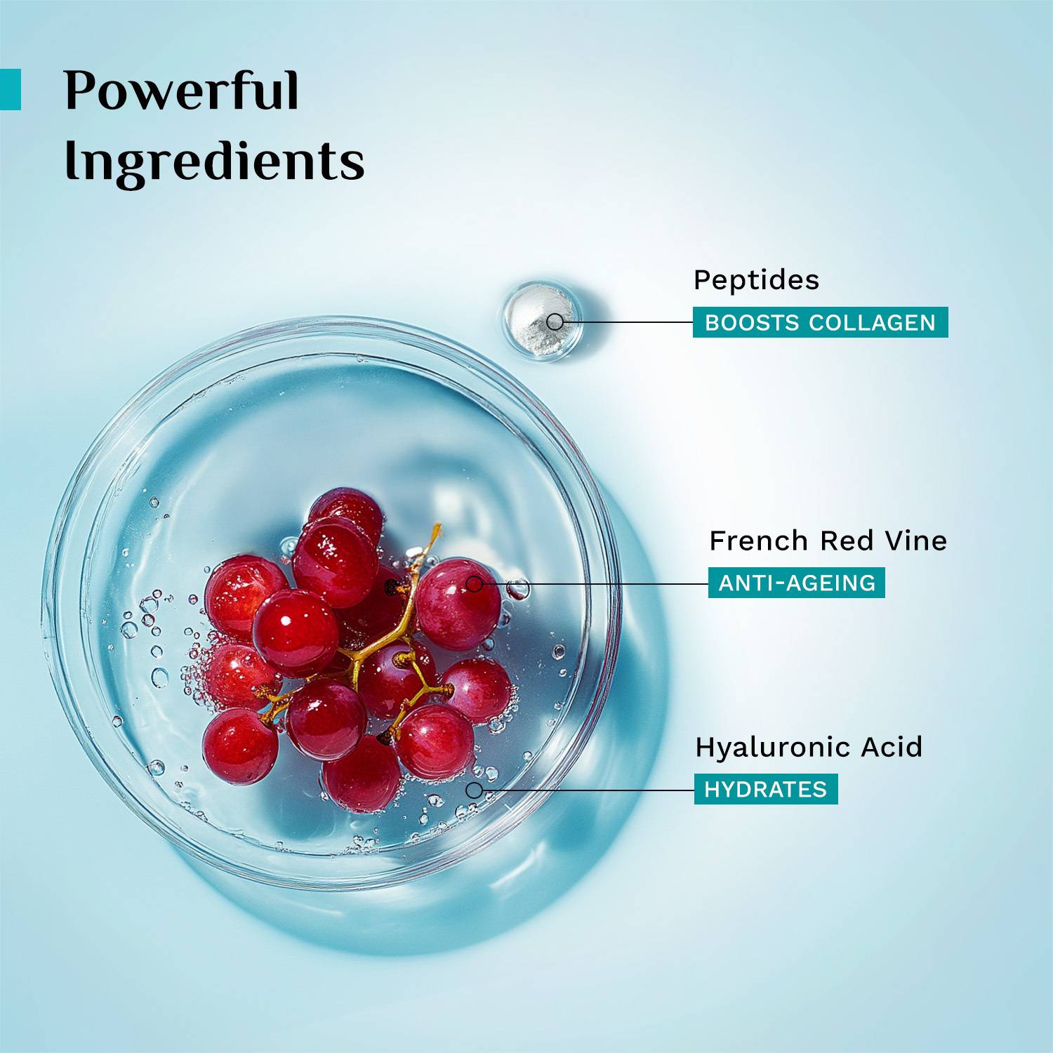 Pilgrim Red Vine Face Serum 30ml - Image 4