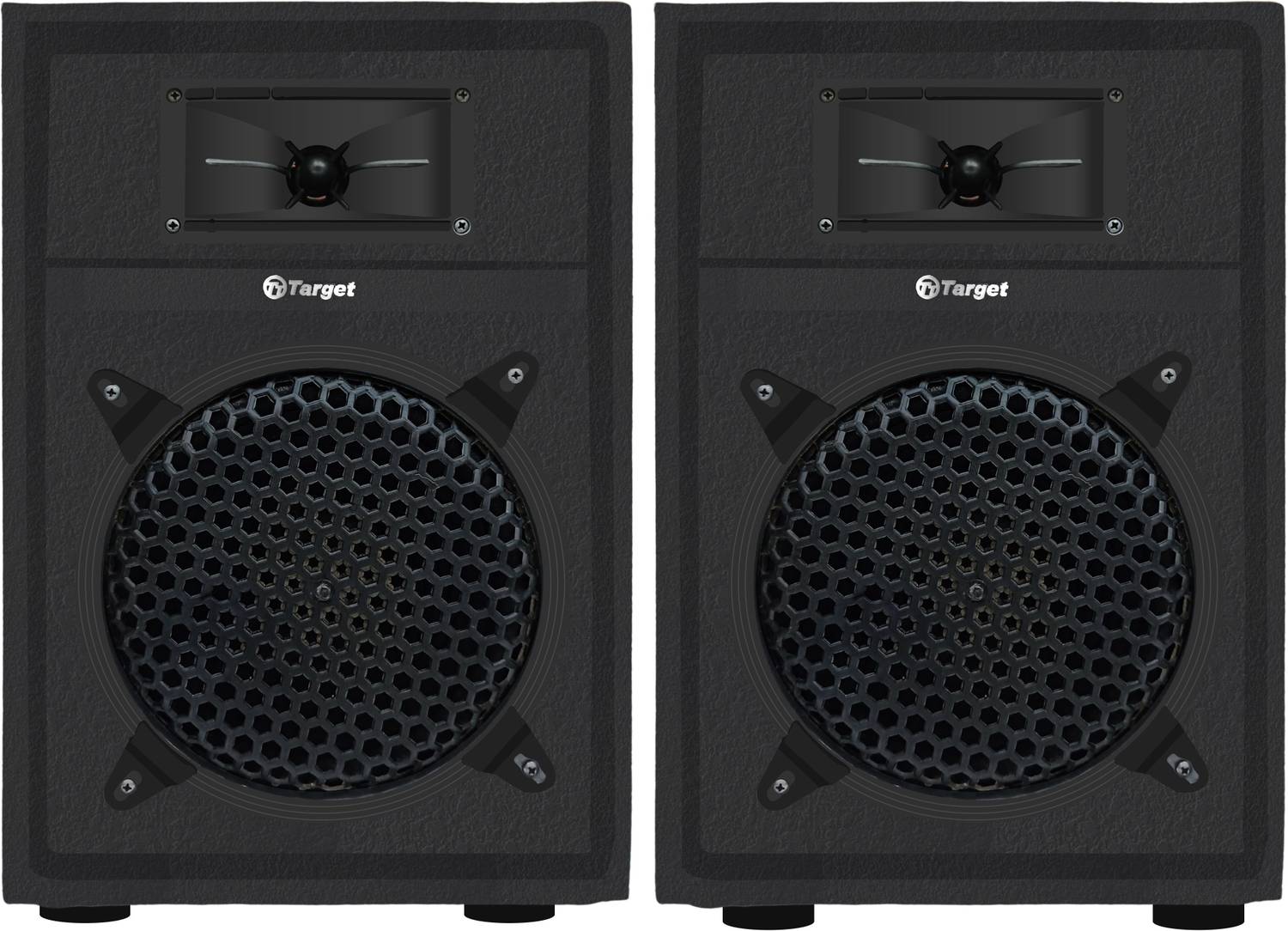 Target TT-305 8" Multimedia Speakers 2x80W - Image 1