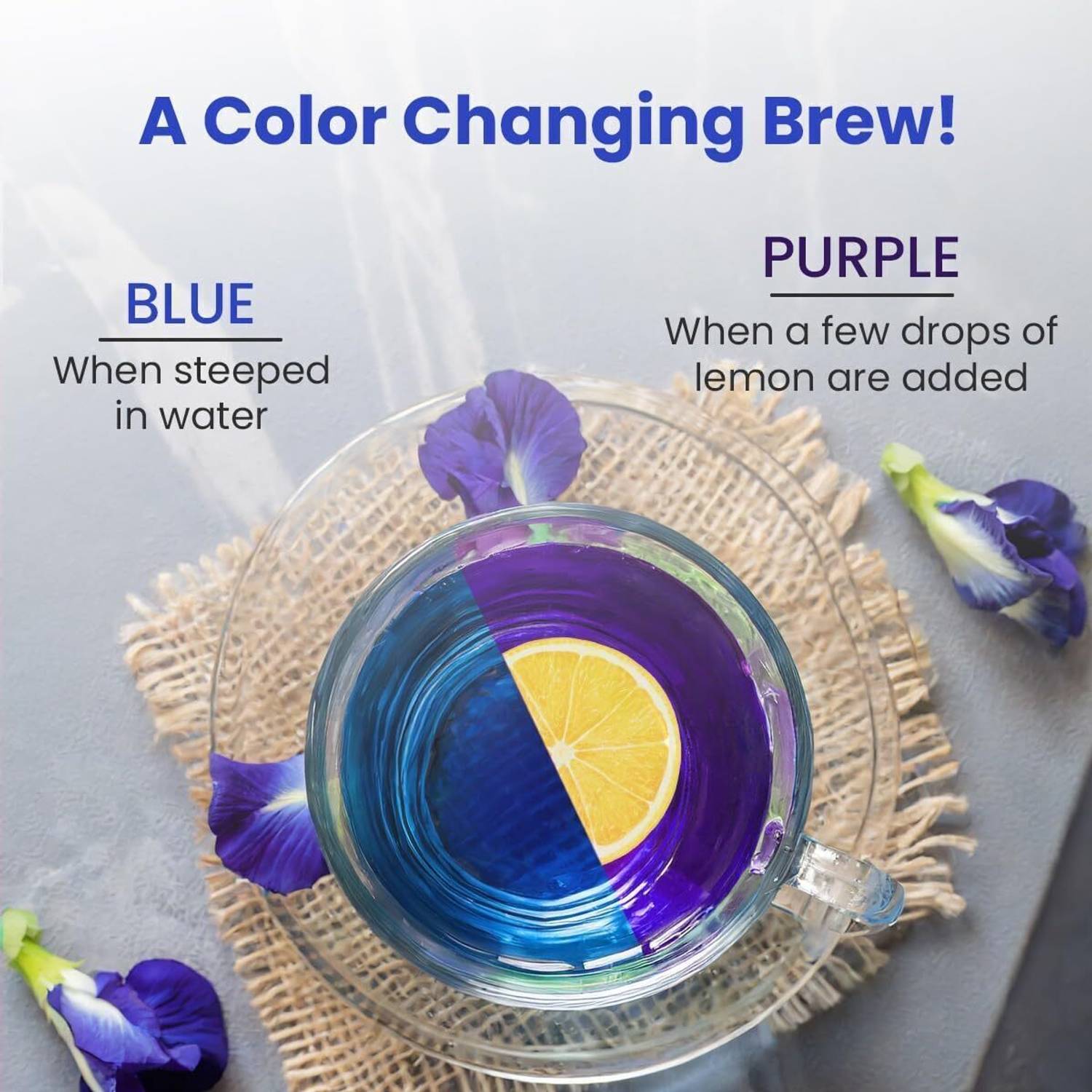 BLUE TEA Butterfly Pea Assorted Sampler Tea Pack (6 Flavors) Pack of 6 - Image 5