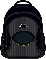 genius bags flipkart