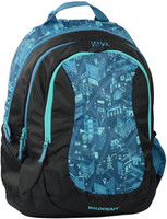 Buy Skybags Footloose Leo 03 Green 26 L 