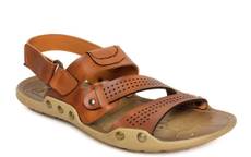 Men Tan Sandals Image