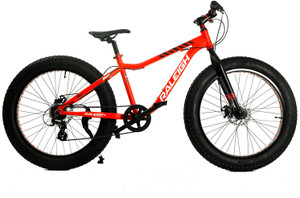 raleigh big sam 21 speed price