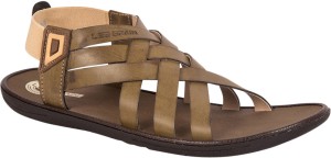 lee grain chappals price