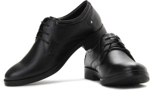 lee cooper lc2024b
