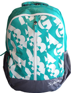 SKYBAGS Pogo 04 Green 25 L Backpack 