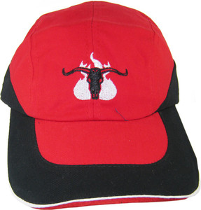 Buy Shri Swami Bags Goodluck Buffalo 