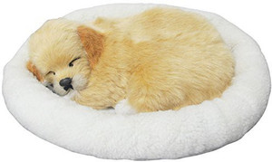 sleeping dog toy