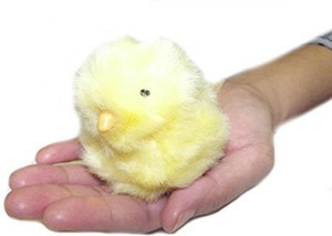 Chirping chick easter toy clearance