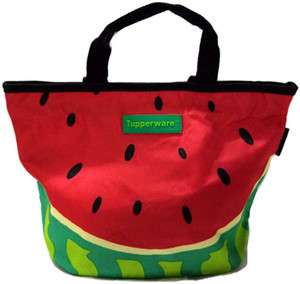 Watermelon lunch bag