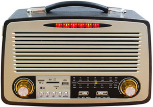 AUX and FM Portable Bluetooth Speaker 