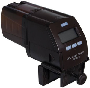 electrolyte for dogs