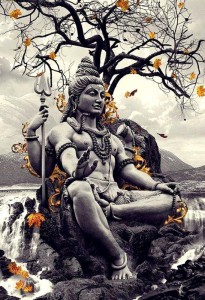 Bhole Nath Shiv Shankar Digital Print Wallpaper Poster Print Poster on  13x19 Inches Paper Print - Art & Paintings posters in India - Buy art,  film, design, movie, music, nature and educational