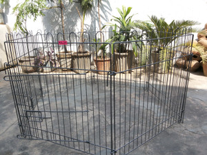 dog cage pen