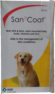 champagne sequin jacket