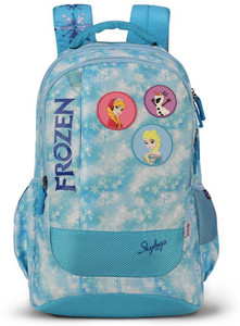 flipkart sky bags