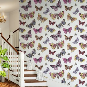 Pink Butterfly HD Wallpapers High Quality  PixelsTalkNet