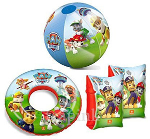 paw patrol arm floaties