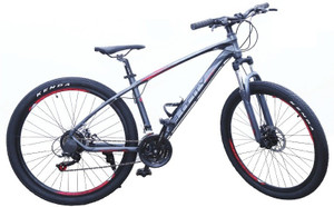 Zoom Suspension Dual Disc Brake Bike 