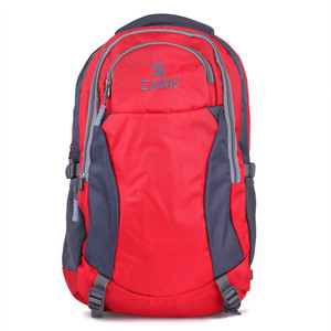 red colour school bag