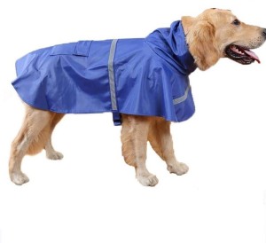 dog raincoat labrador