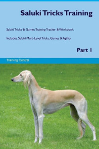Saluki training discount