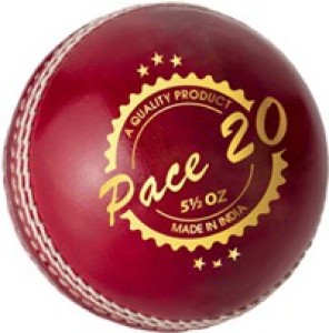 Details about   DSC Pace 20 Cricket Leather Ball