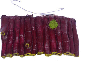 turtle aquarium stand