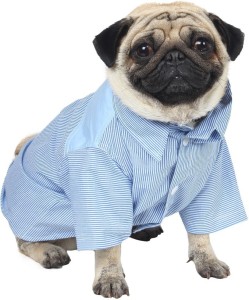 puppy dress flipkart