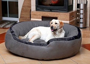 dog bed