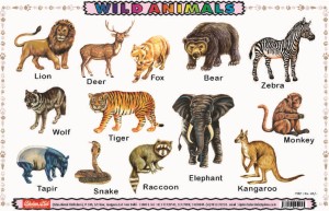 Wild Animals: Buy Wild Animals by NA at Low Price in India 