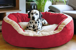 large red dog bed