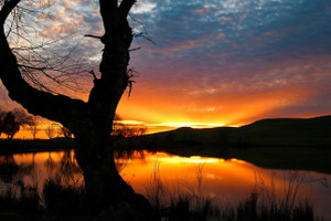 12X18 NATURE NON TEARABLE GLOSSY FINISH POSTER Photographic Paper