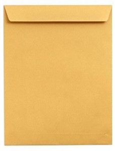 50 Pack #10 Business Envelopes With Gold Border, Self Seal Standard