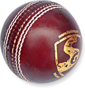 Red SG CLUB Leather Cricket Ball Pack of 2 