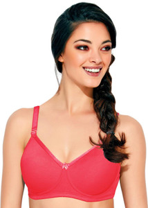 enamor bra price