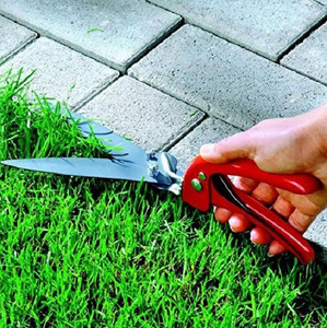 Lawn grass sale cutting scissors