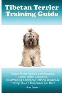 Tibetan terrier training top
